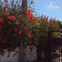 фото из отзыва ID 1962369