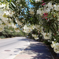 фото из отзыва ID 1962369