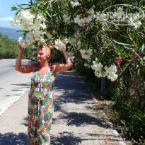 фото из отзыва ID 1962369