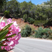 фото из отзыва ID 1962369