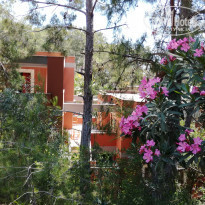 фото из отзыва ID 1962369