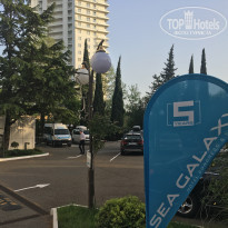 фото из отзыва ID 1962548