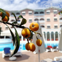 фото из отзыва ID 1962626