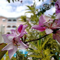 фото из отзыва ID 1962626