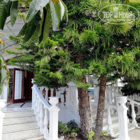 фото из отзыва ID 1962626