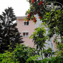 фото из отзыва ID 1962626