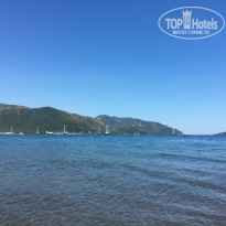 фото из отзыва ID 1962665