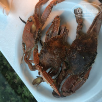 фото из отзыва ID 1962726