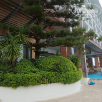 фото из отзыва ID 1962841