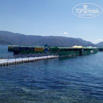 фото из отзыва ID 1961908