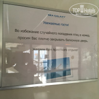 фото из отзыва ID 1962548