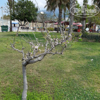 фото из отзыва ID 1962905