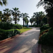 фото из отзыва ID 1962905