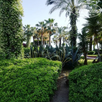 фото из отзыва ID 1962905