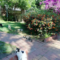 фото из отзыва ID 1962905