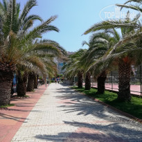 фото из отзыва ID 1962905