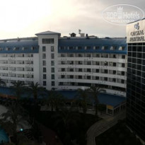 фото из отзыва ID 1963080