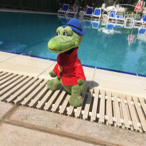 фото из отзыва ID 1963125