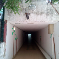 фото из отзыва ID 1963069