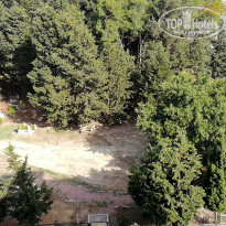 фото из отзыва ID 1960002