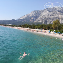 фото из отзыва ID 1963175