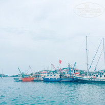 фото из отзыва ID 1963252