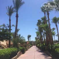 фото из отзыва ID 1963302