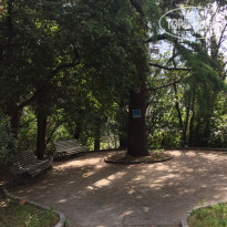 фото из отзыва ID 1963325