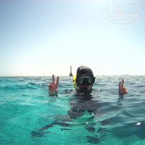 фото из отзыва ID 1963380