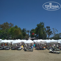 фото из отзыва ID 1962163