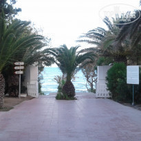 фото из отзыва ID 1962550