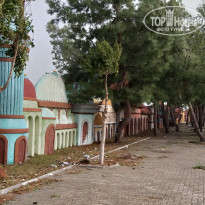 фото из отзыва ID 1963472