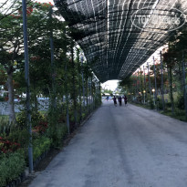 фото из отзыва ID 1963740