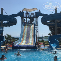 фото из отзыва ID 1963759