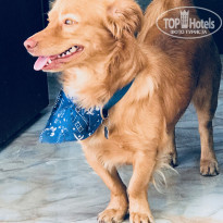 фото из отзыва ID 1963935