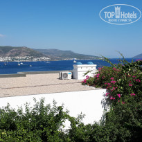 фото из отзыва ID 1963974