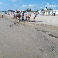 фото из отзыва ID 1964021