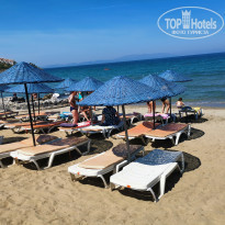 фото из отзыва ID 1964085