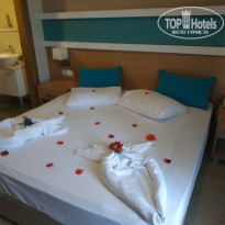 фото из отзыва ID 1964094