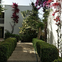 фото из отзыва ID 1964186