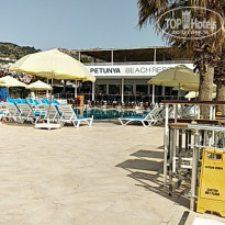 фото из отзыва ID 1964186