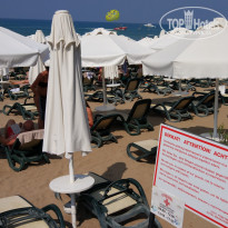 фото из отзыва ID 1964288