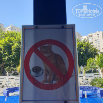 фото из отзыва ID 1964321