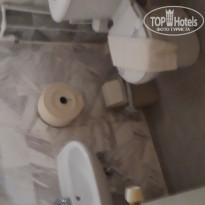 фото из отзыва ID 1964327