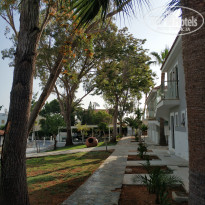 фото из отзыва ID 1964306