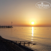 фото из отзыва ID 1964393