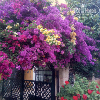 фото из отзыва ID 1964501