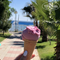 фото из отзыва ID 1964581