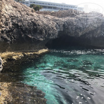 фото из отзыва ID 1964599