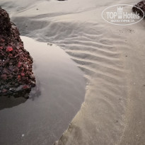 фото из отзыва ID 1964583